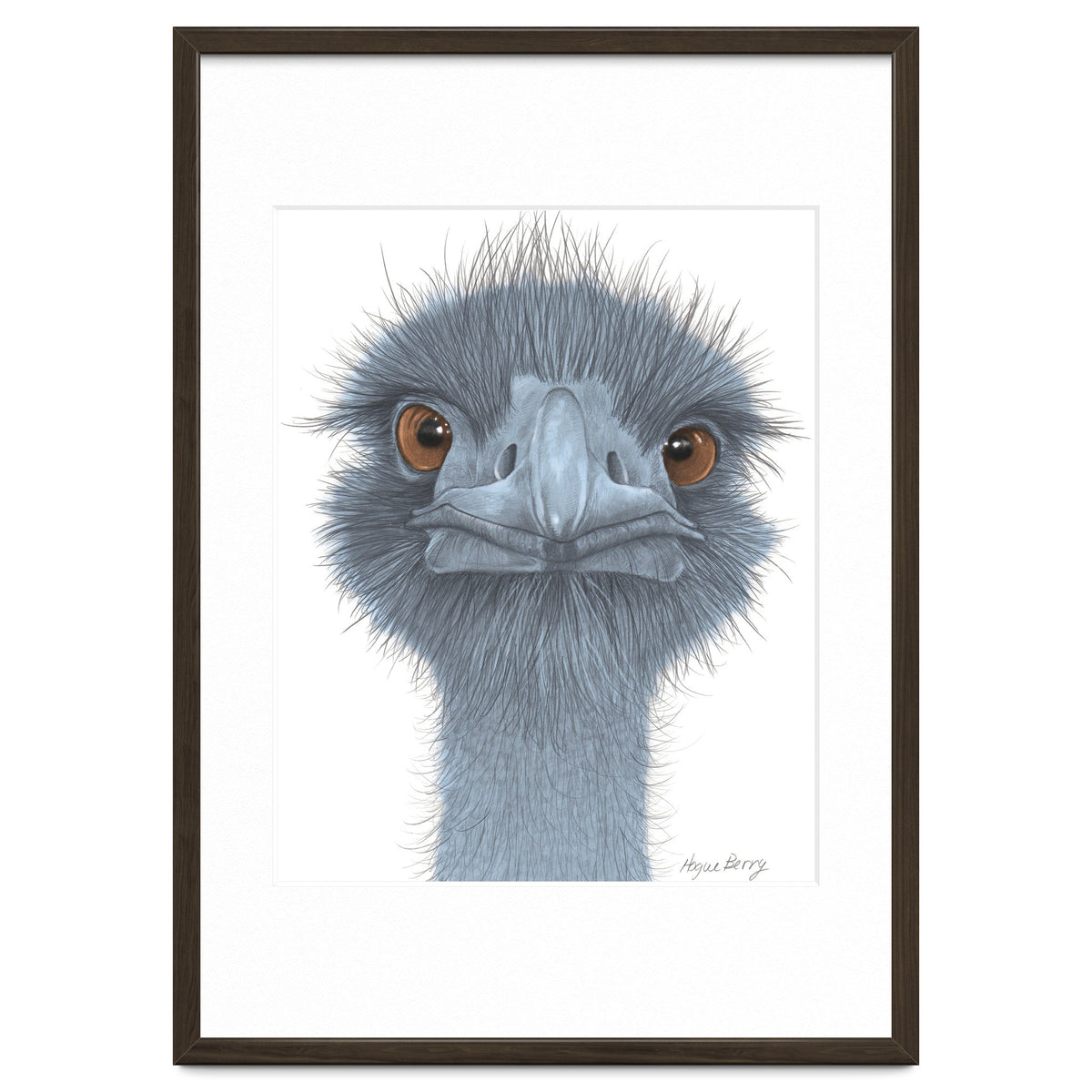 The Blue Emu