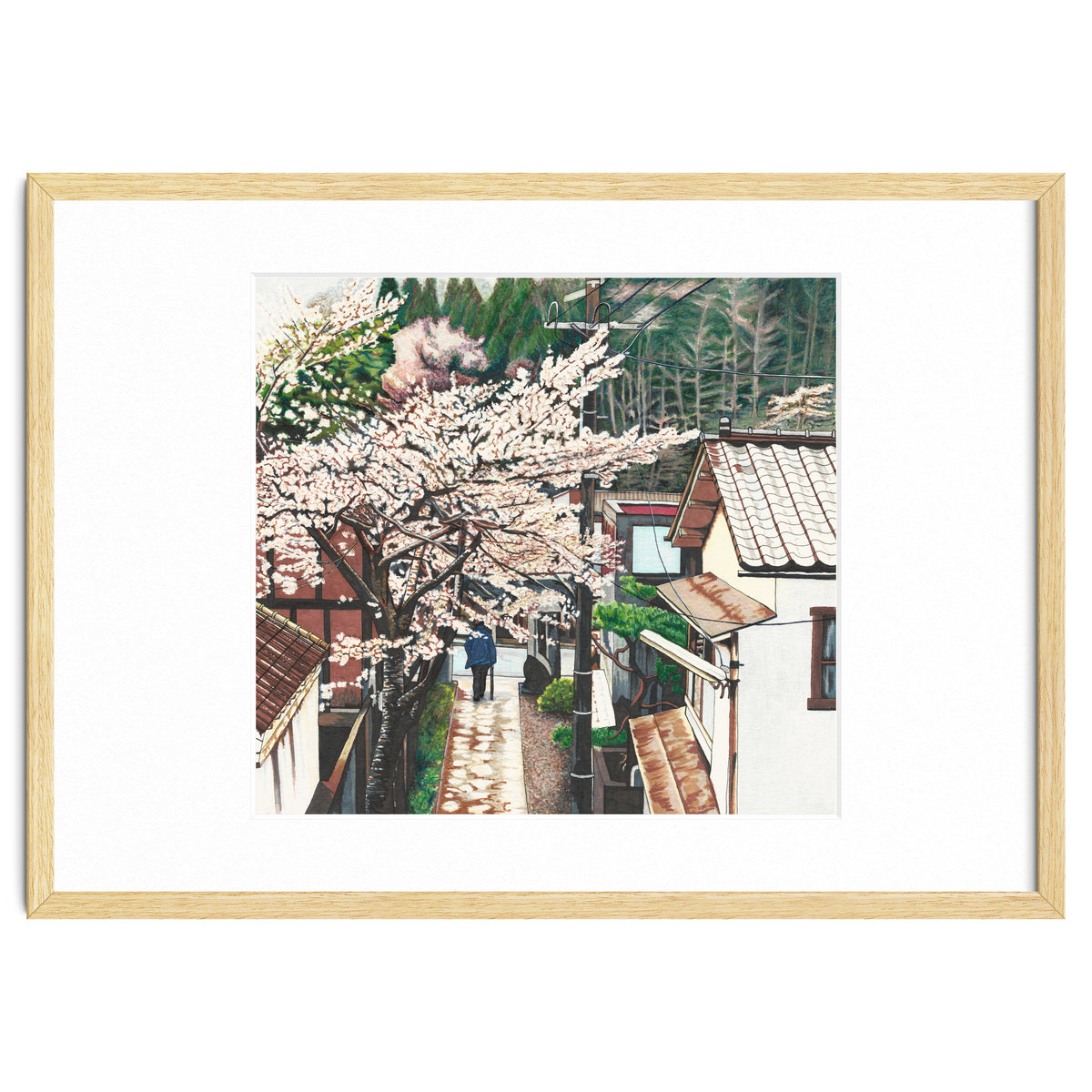 Passing by Cherry Blossoms