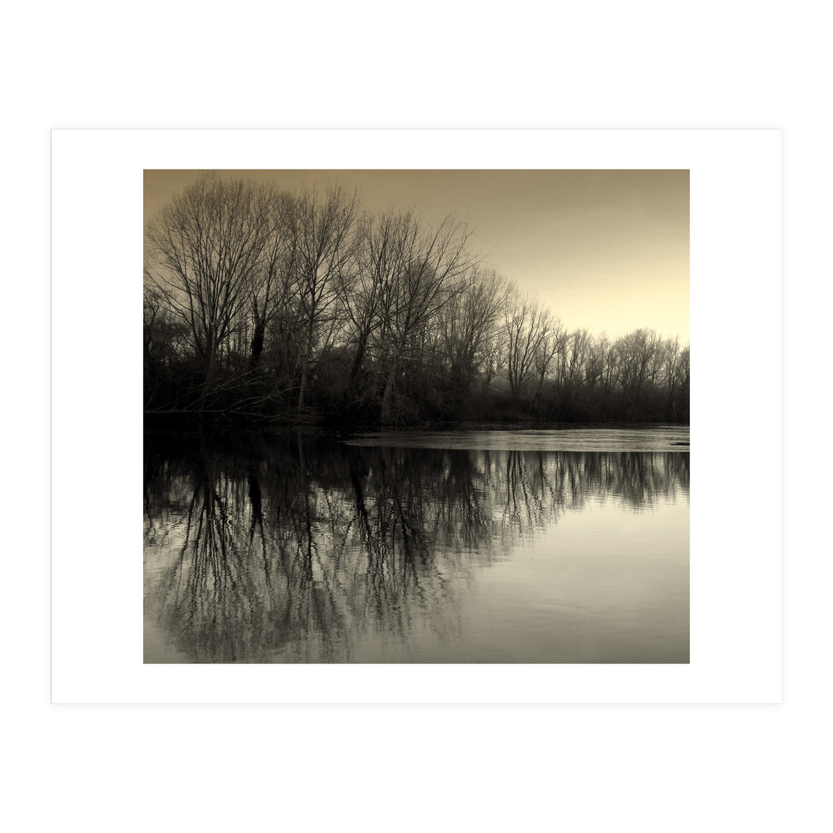 Winter Symettery  (Print Only)