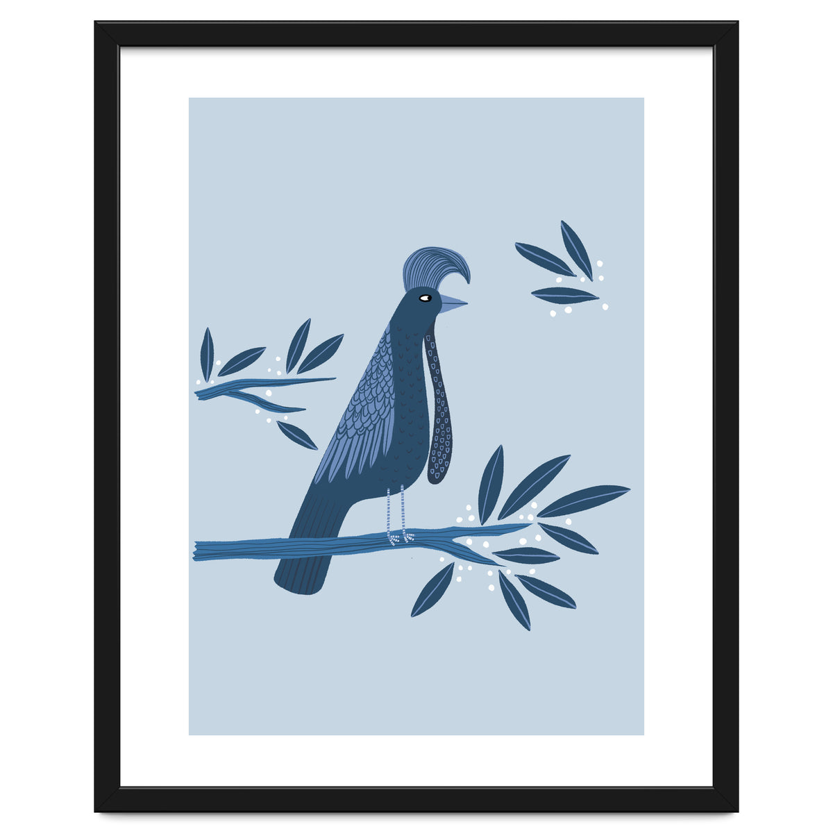 Umbrellabird