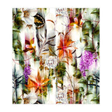 Abstract Motion Blur Floral  (Print Only) thumbnail