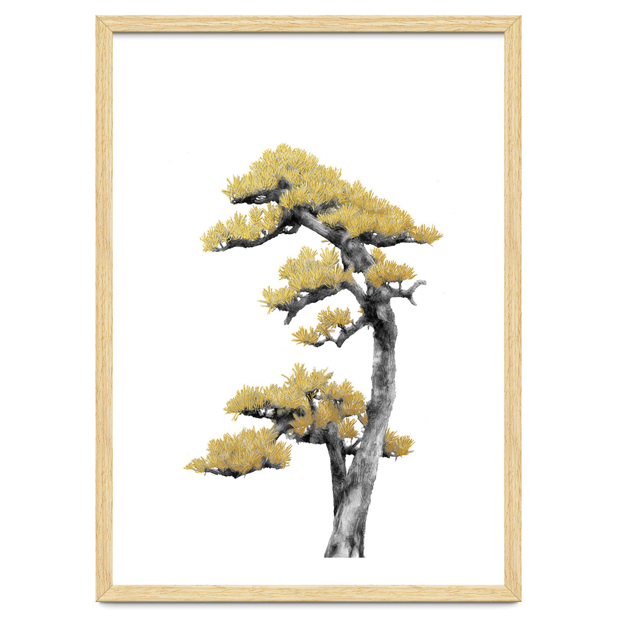 Bonsai Tree 04