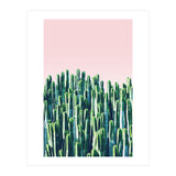 Cactus & Sunset II (Print Only) thumbnail