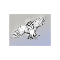 Attacking barn owl (Print Only)
