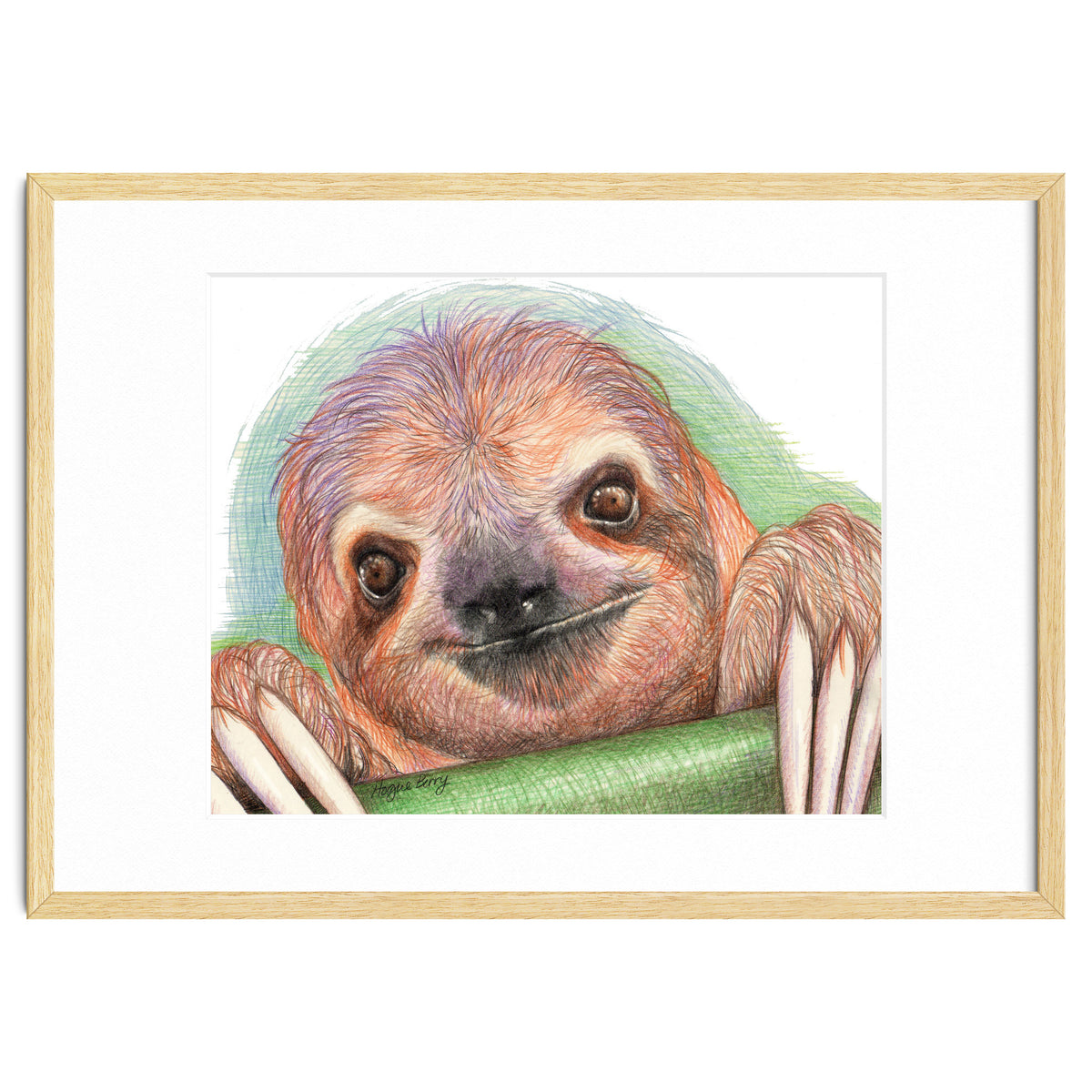Smiling Sloth