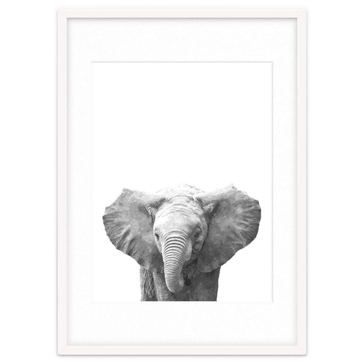Black and White Baby Elephant