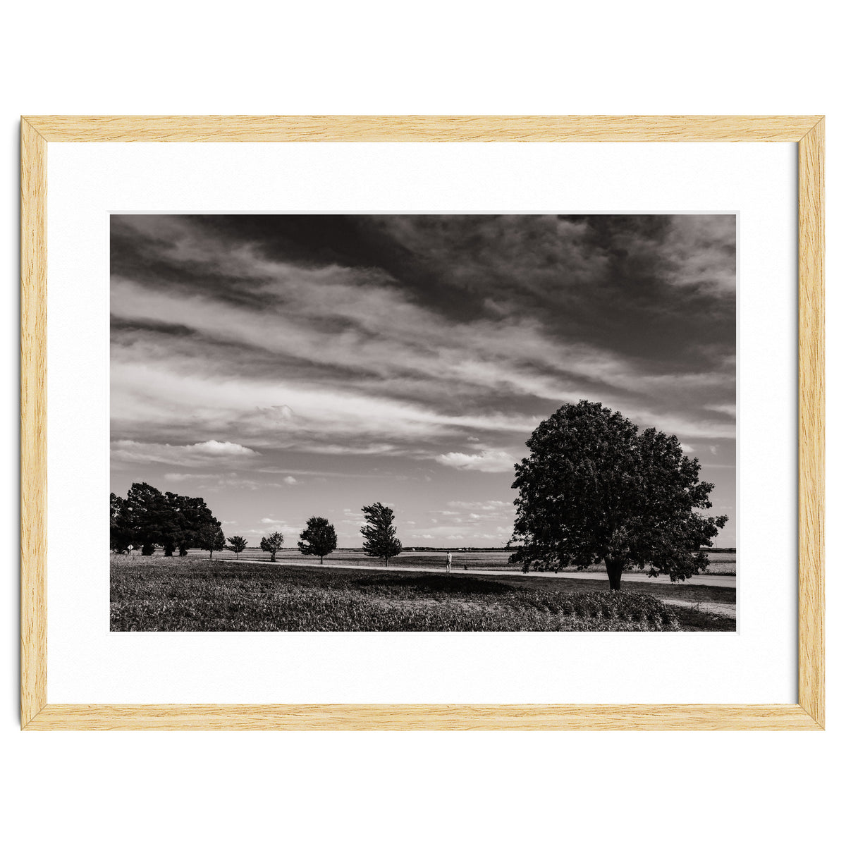 Country Road, Illinois