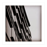 49297170 629 B 473 D B396 E6 A544 Fe82 Bb (Print Only) thumbnail