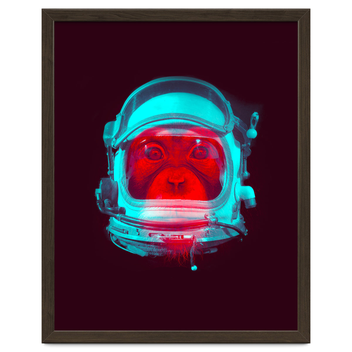 Astronaut