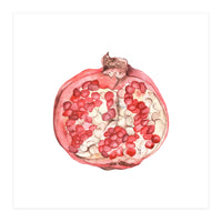 Pomegranate (Print Only)