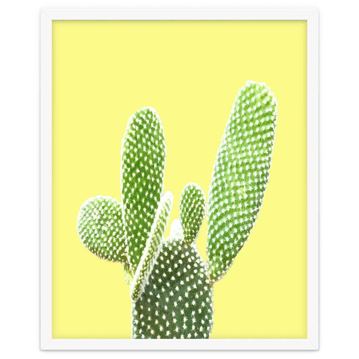 Cactus Yellow Background