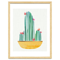 Bowl O' Cactus