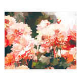 Blush II (Print Only) thumbnail