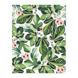 Fig Garden (Print Only) thumbnail