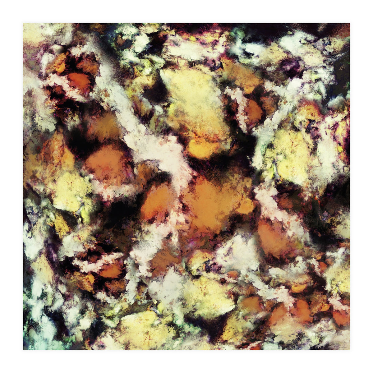 Fractured Viewpoint (Print Only)