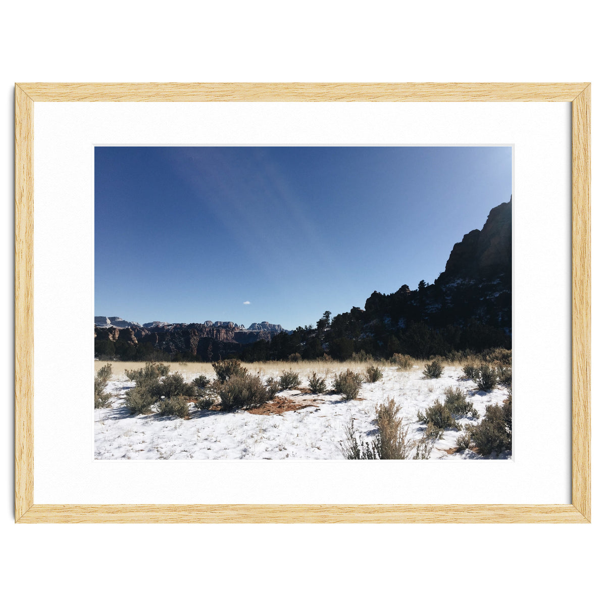 Zion National Park II