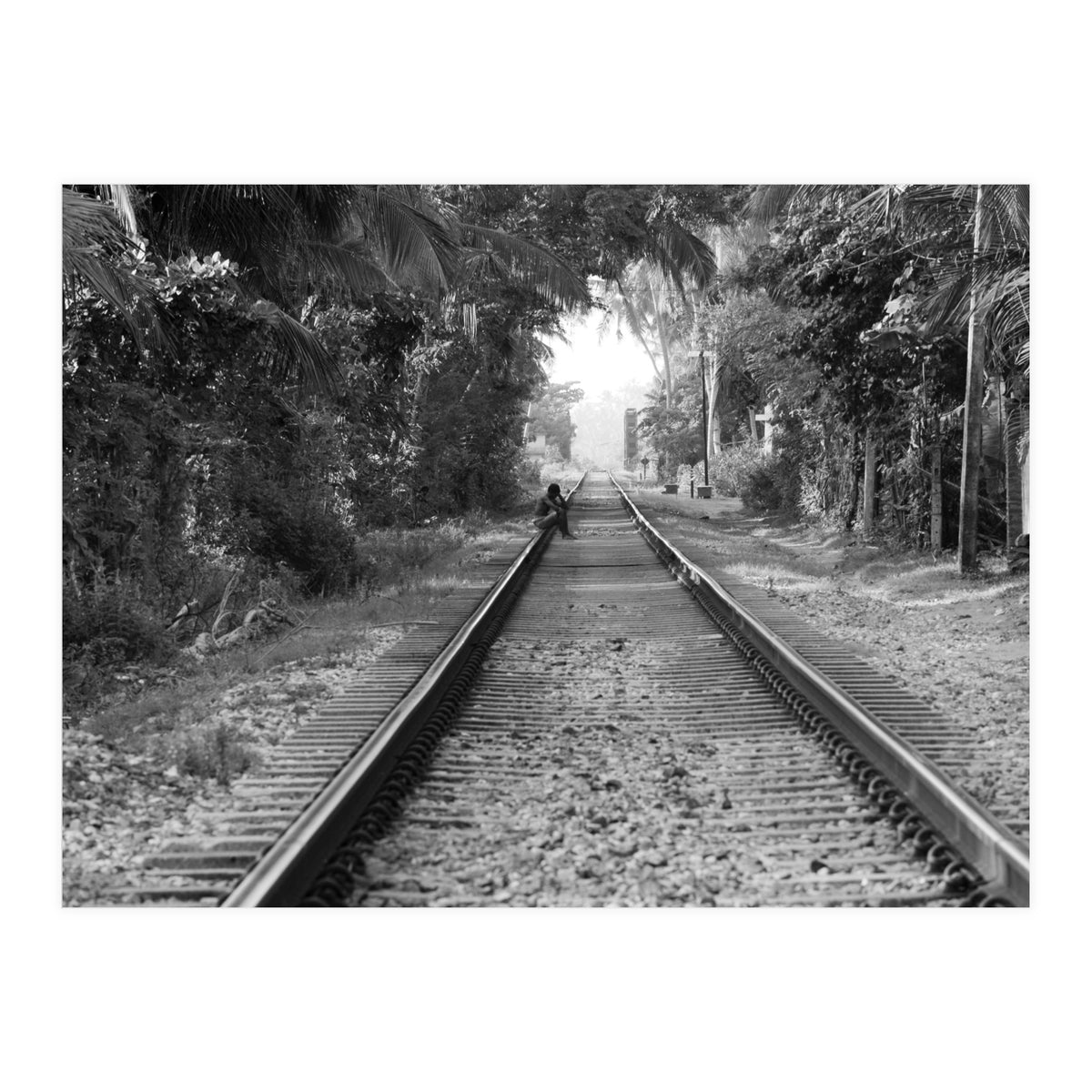 Colombo, Sri Lanka (Print Only)