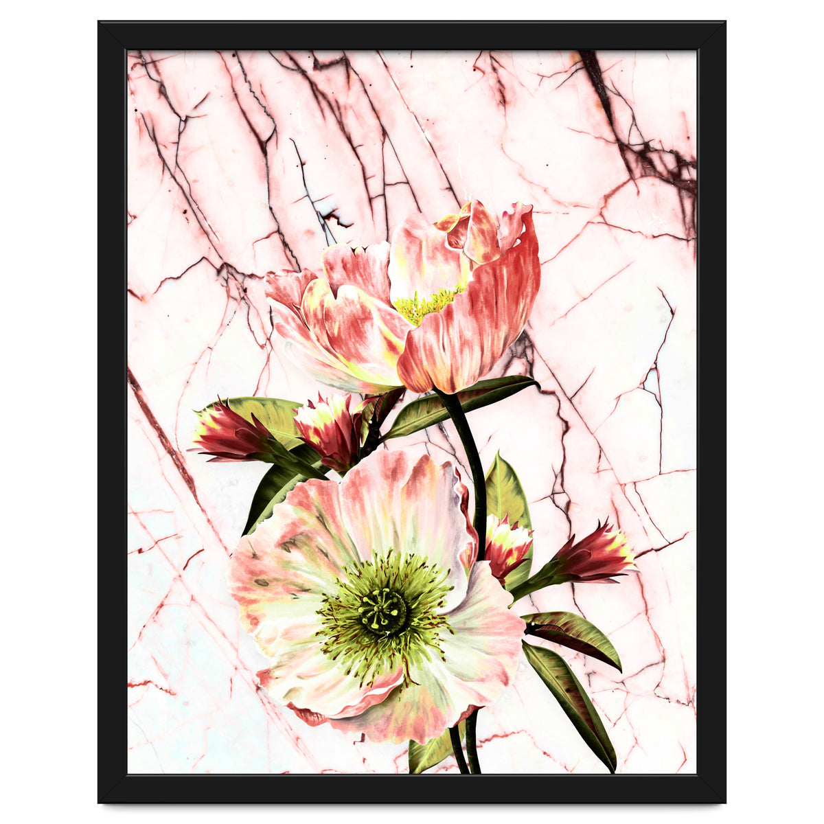 Flowering on pink marble