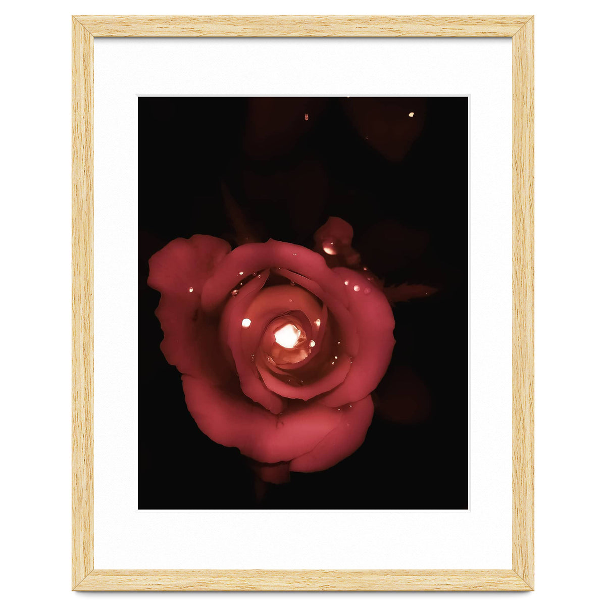 Lighting Rose