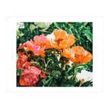 Blossoming Florals (Print Only) thumbnail