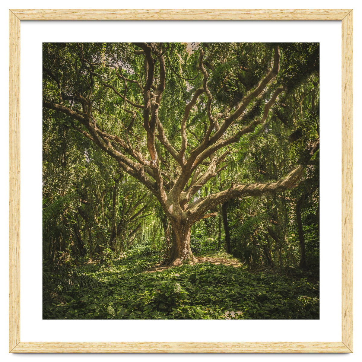 Spirits inside the wood