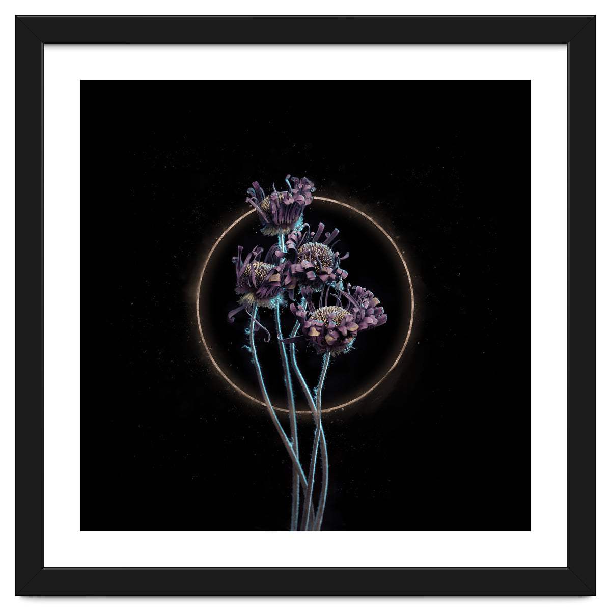 Candy-Coloured Mystery