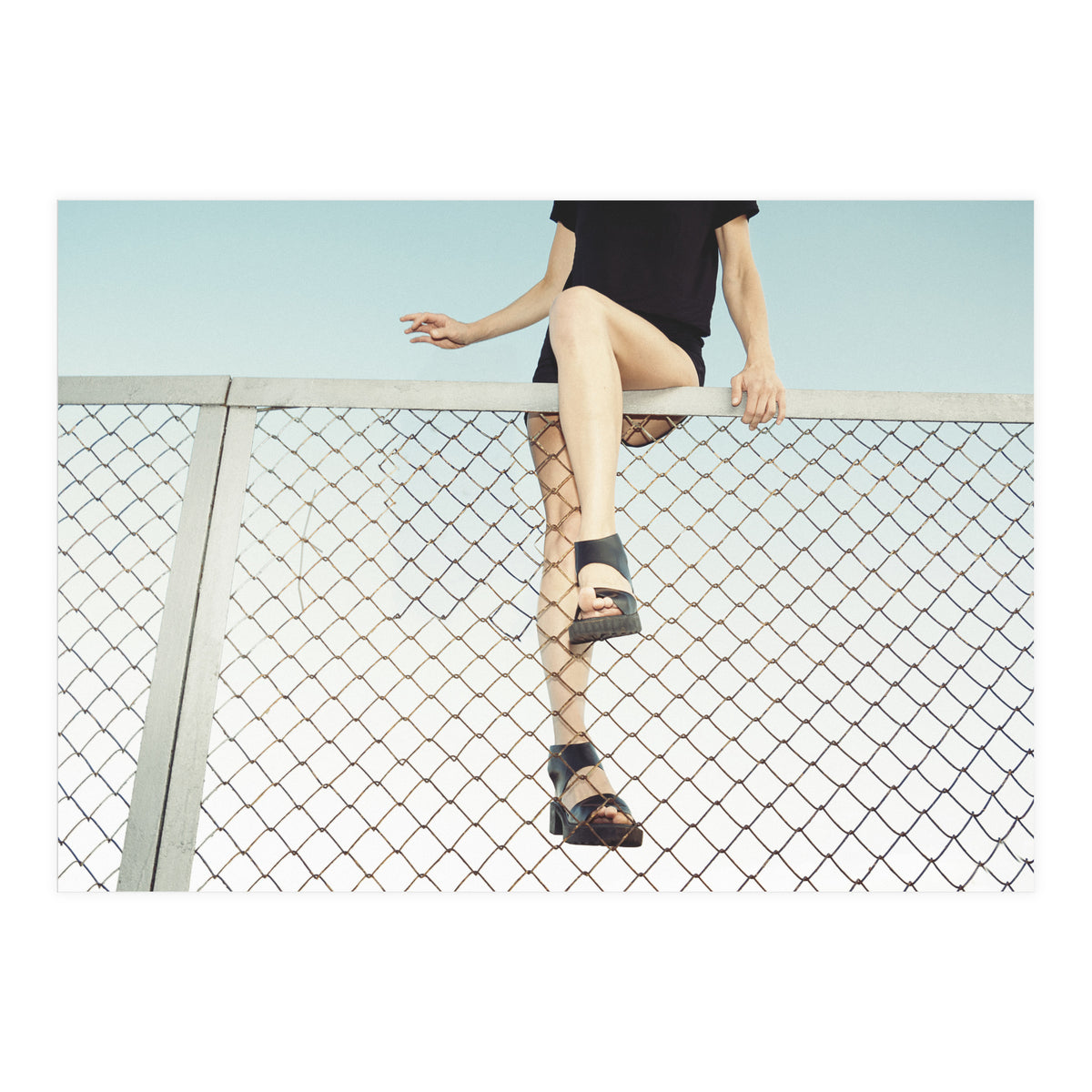 Hoping Fences (Print Only)