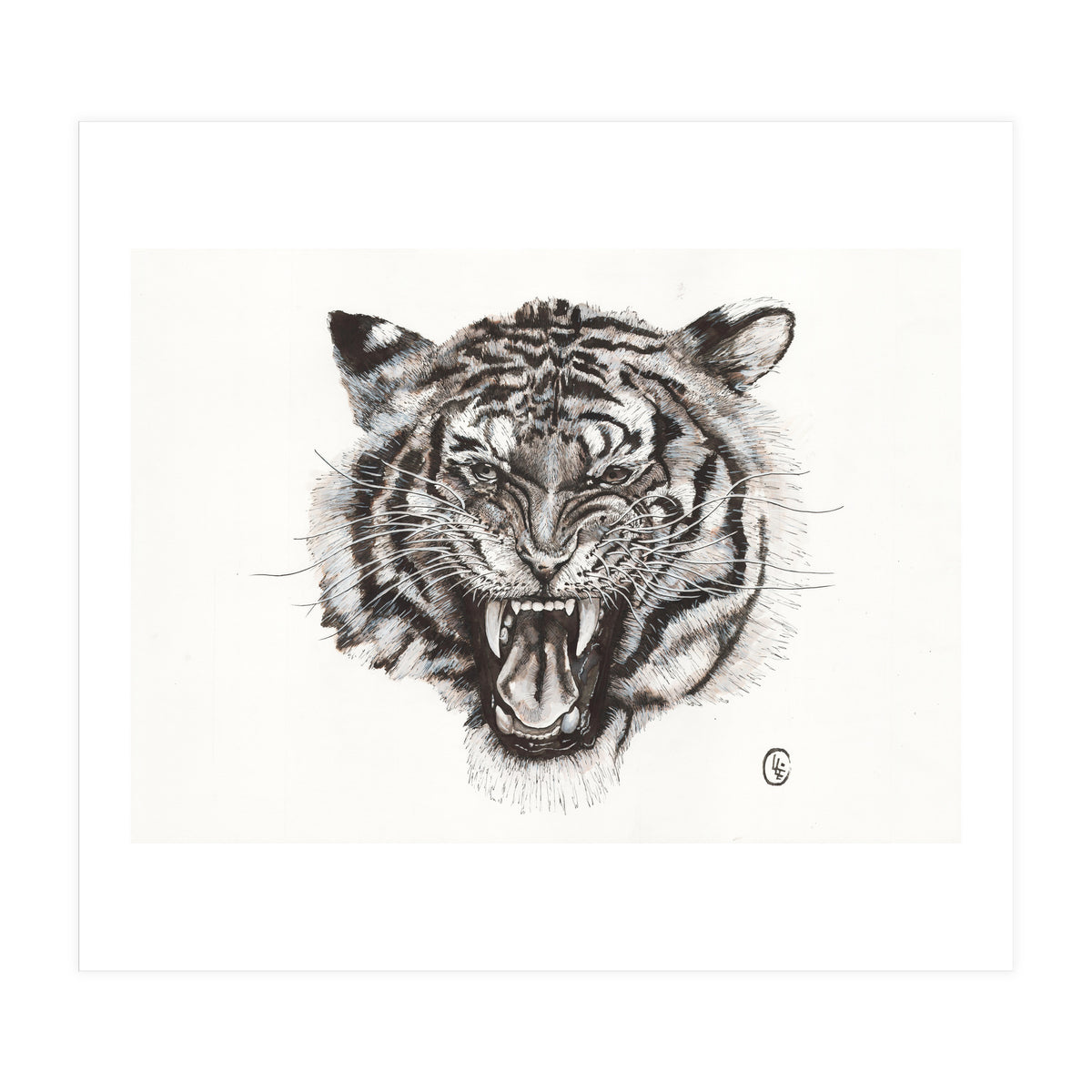 Tiger (Print Only)