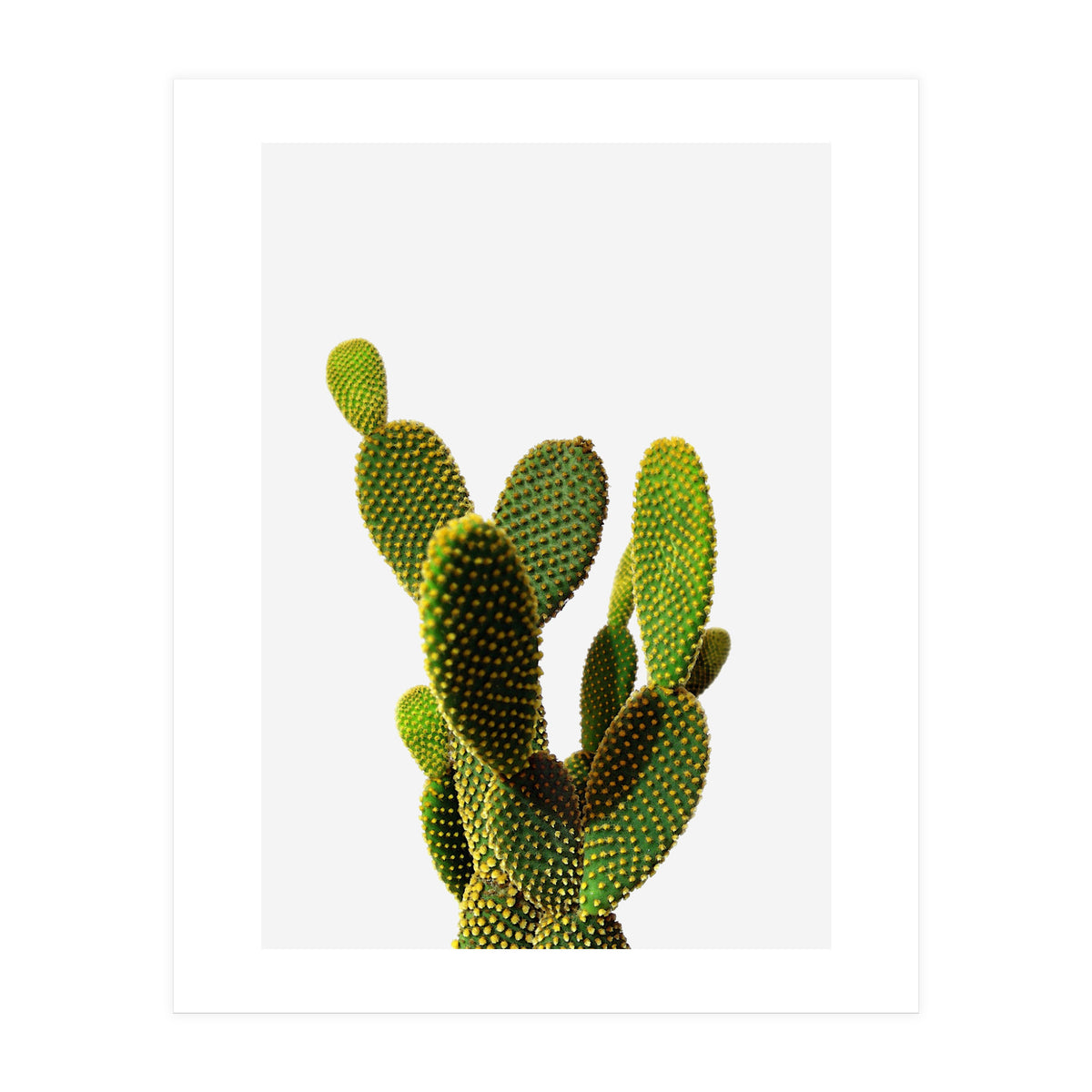 77 (Print Only)