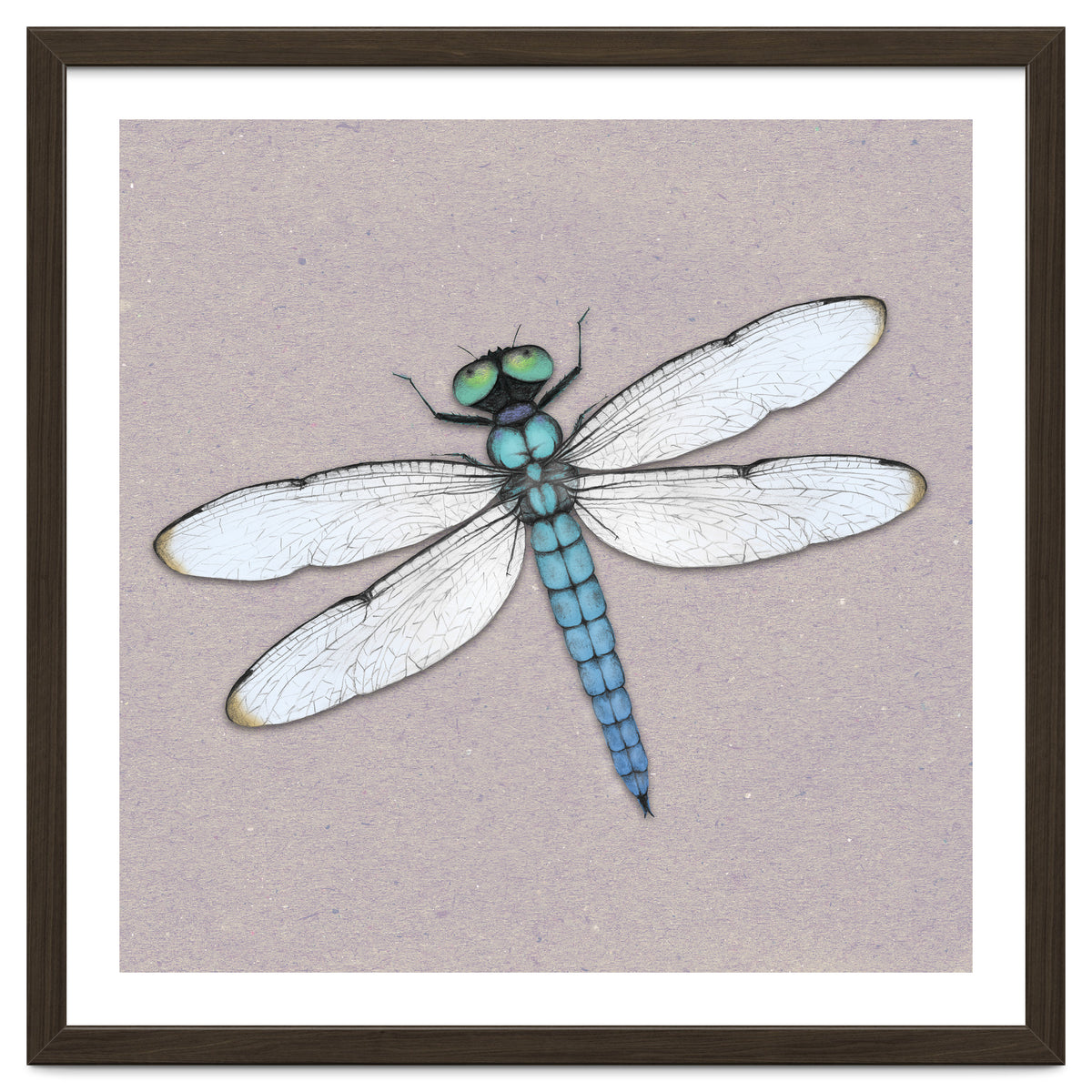 Blue dragonfly