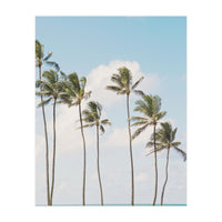 Tropical Palm Trees (Print Only)
