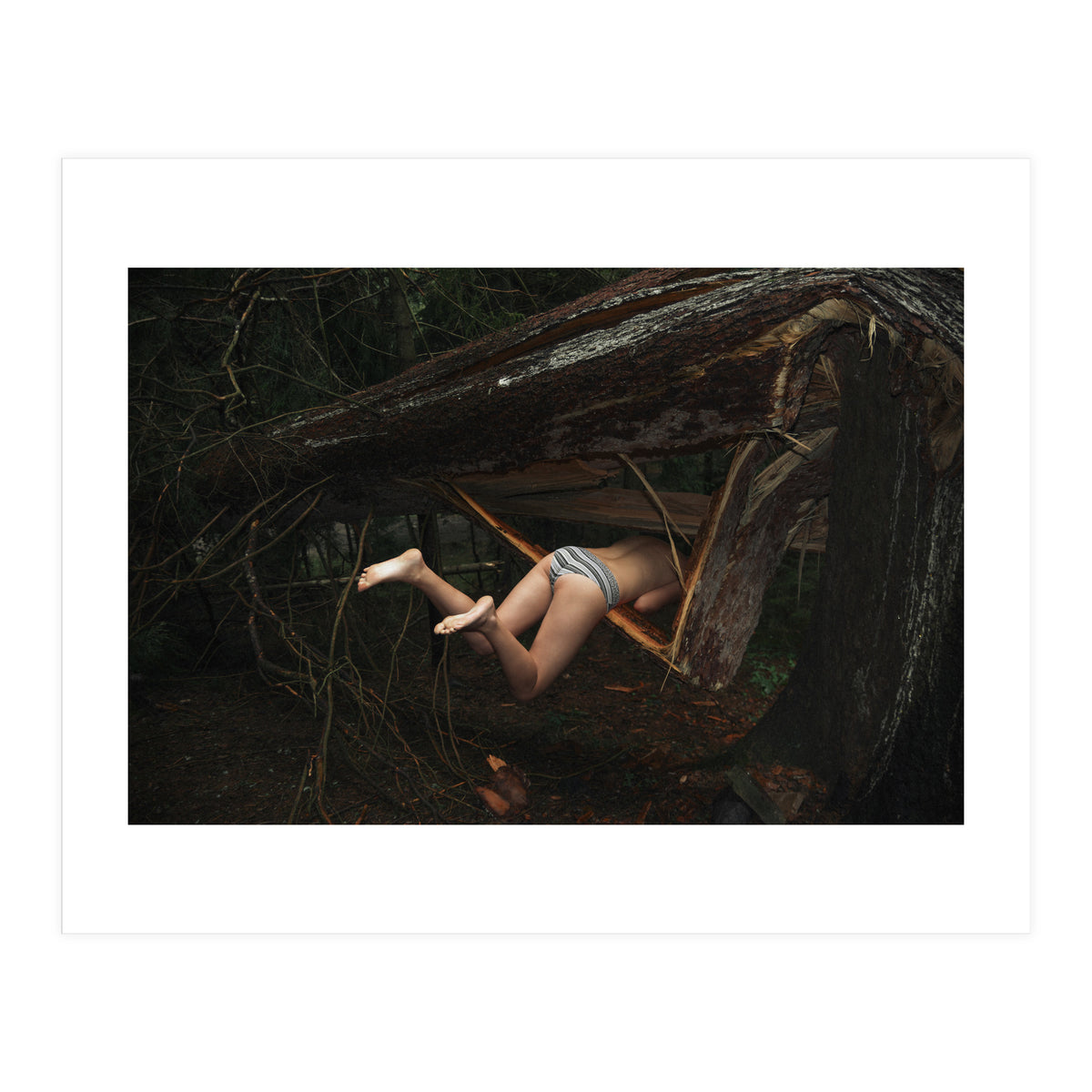 Don’t go There, It’s a Trap (Print Only)