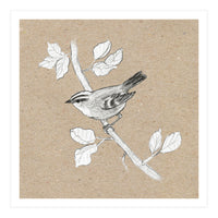 Gold crest (Print Only)