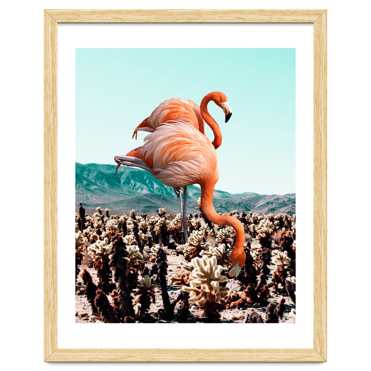 Flamingos In The Desert