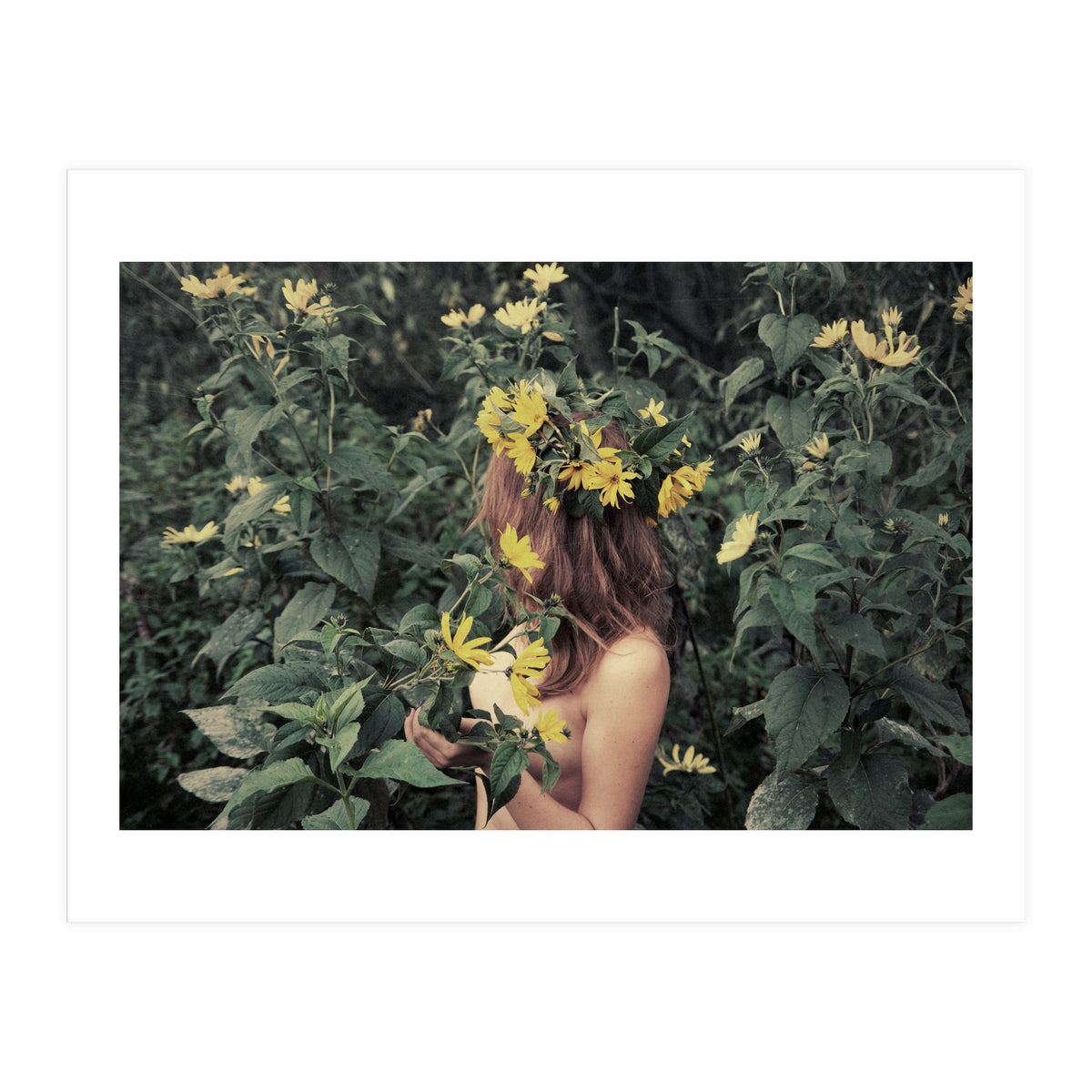 Acid Rain (Print Only)