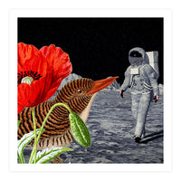 Bird On The Moon  (Print Only)