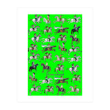 Gauchos 2 (Print Only) thumbnail