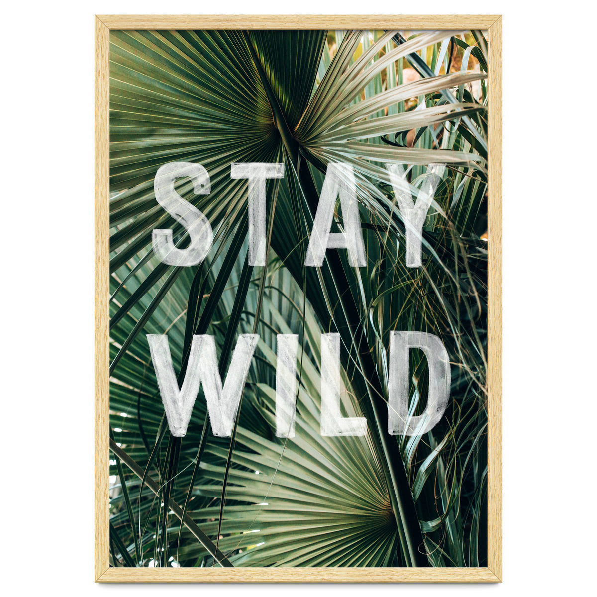 Stay Wild