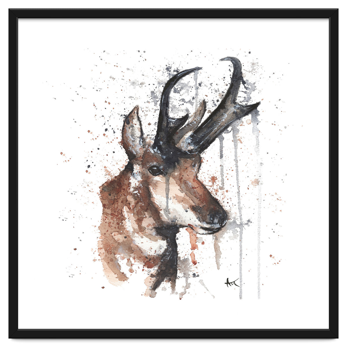 Red deer - Wildlife Collection