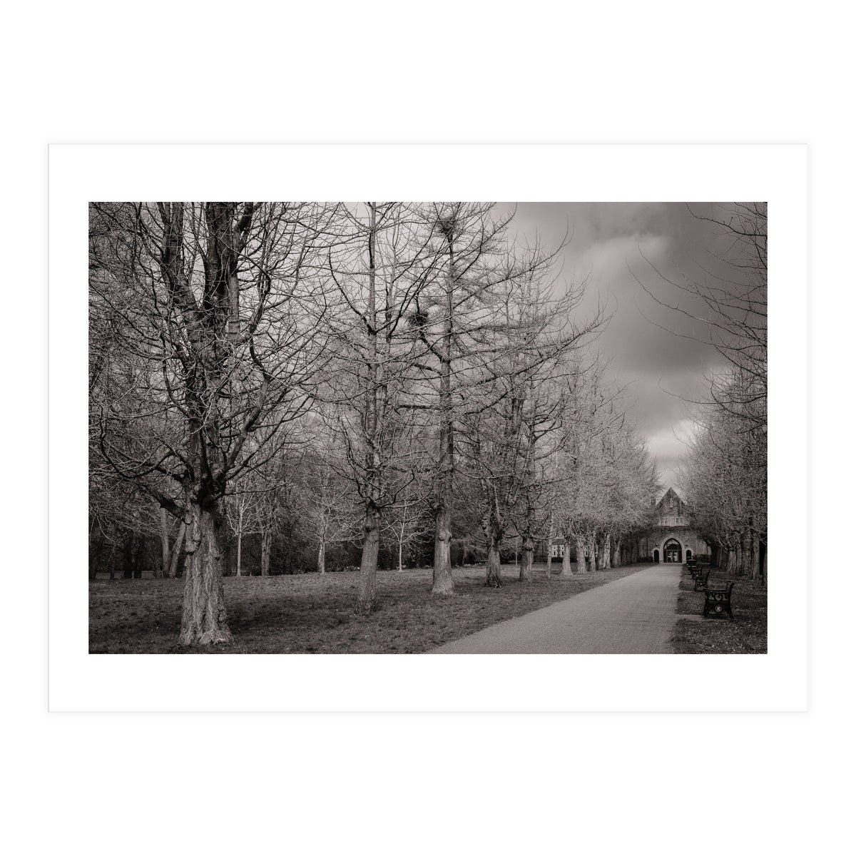 Bute Park, Cardiff (Print Only)