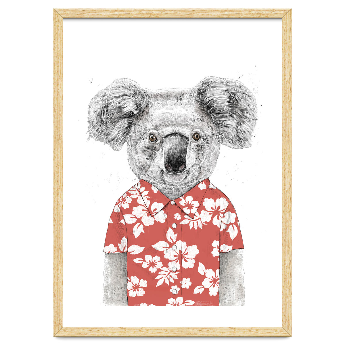 Summer Koala