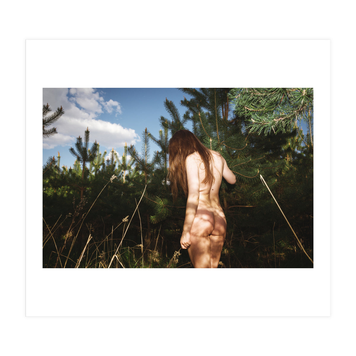 Hiding Game (Print Only)