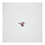 Solo Flight (Print Only) thumbnail