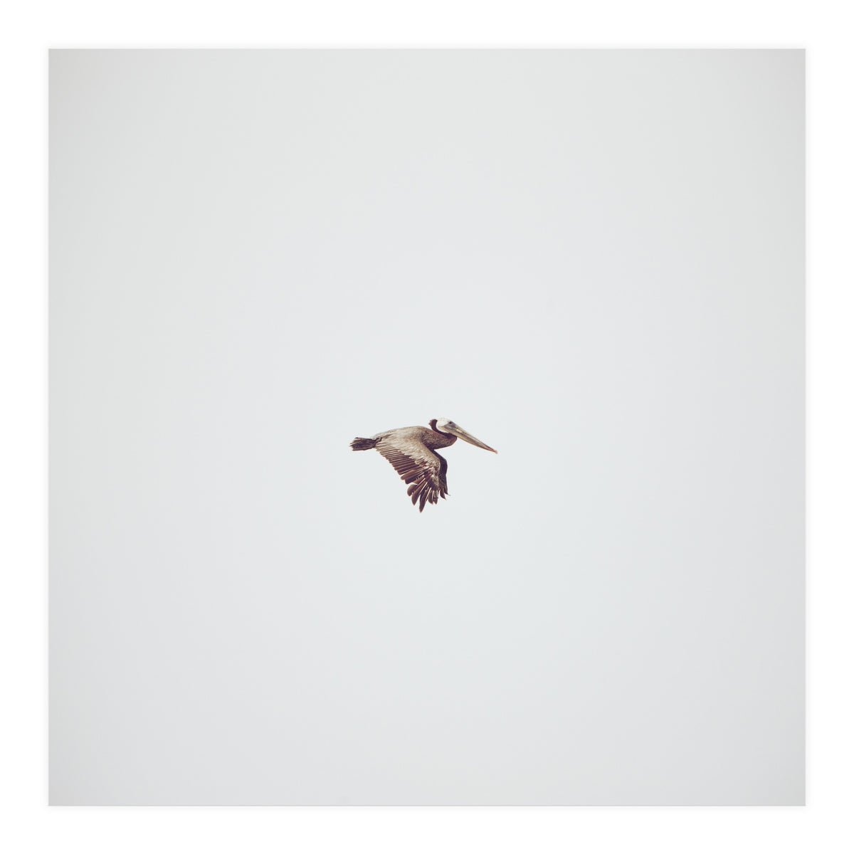 Solo Flight (Print Only)
