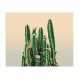 Flowered Cactus (Print Only) thumbnail