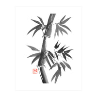 Bamboo 01 (Print Only)