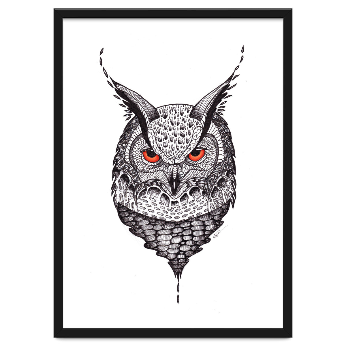 Owl