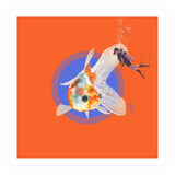Koi Carp N Diver (Print Only) thumbnail