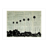 Six Palm Trees . (Print Only)