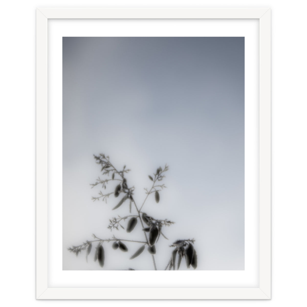 Forgotten Memories of Summer #17